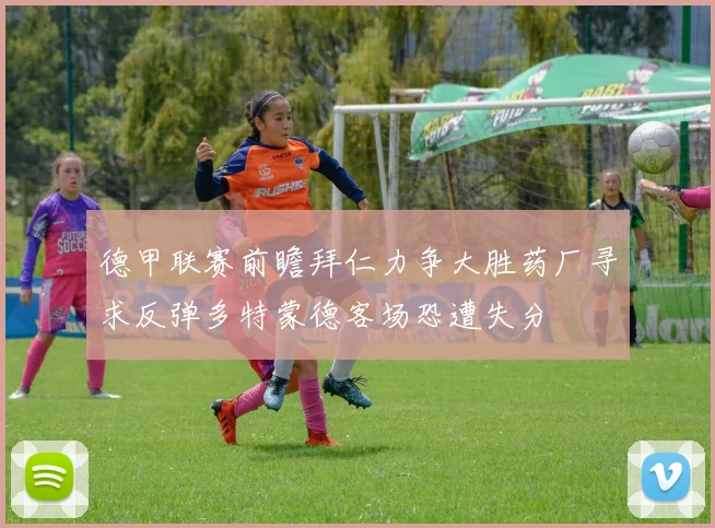 德甲联赛前瞻拜仁力争大胜药厂寻求反弹多特蒙德客场恐遭失分